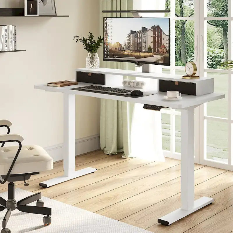 FlexiSpot 48x24/55x24 Ergonomic Height Adjustable Standing Desk with 2 Drawers, Monitor Stand Computer Desk