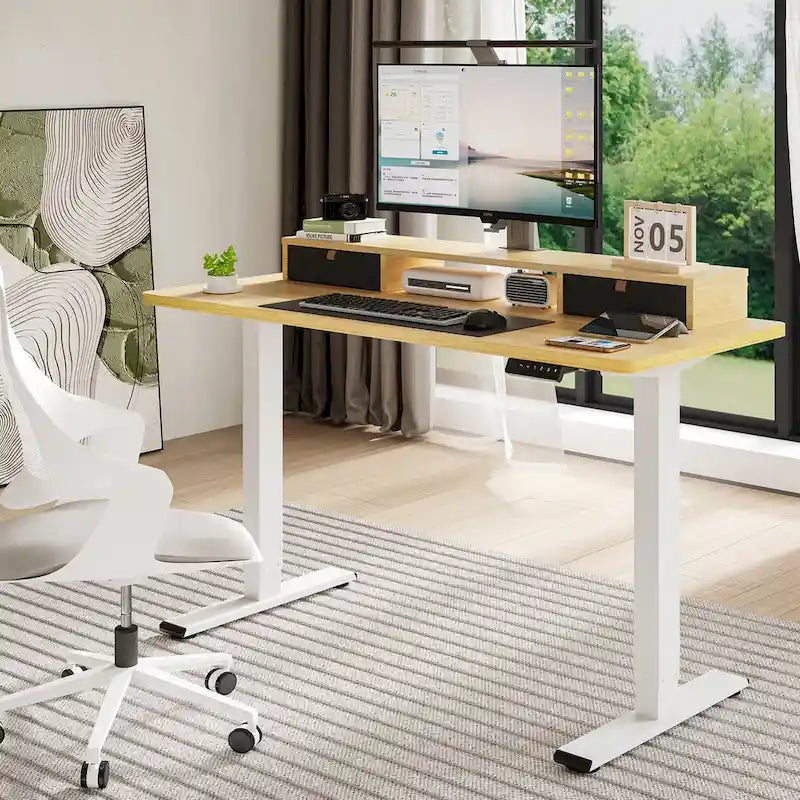 FlexiSpot 48x24/55x24 Ergonomic Height Adjustable Standing Desk with 2 Drawers, Monitor Stand Computer Desk