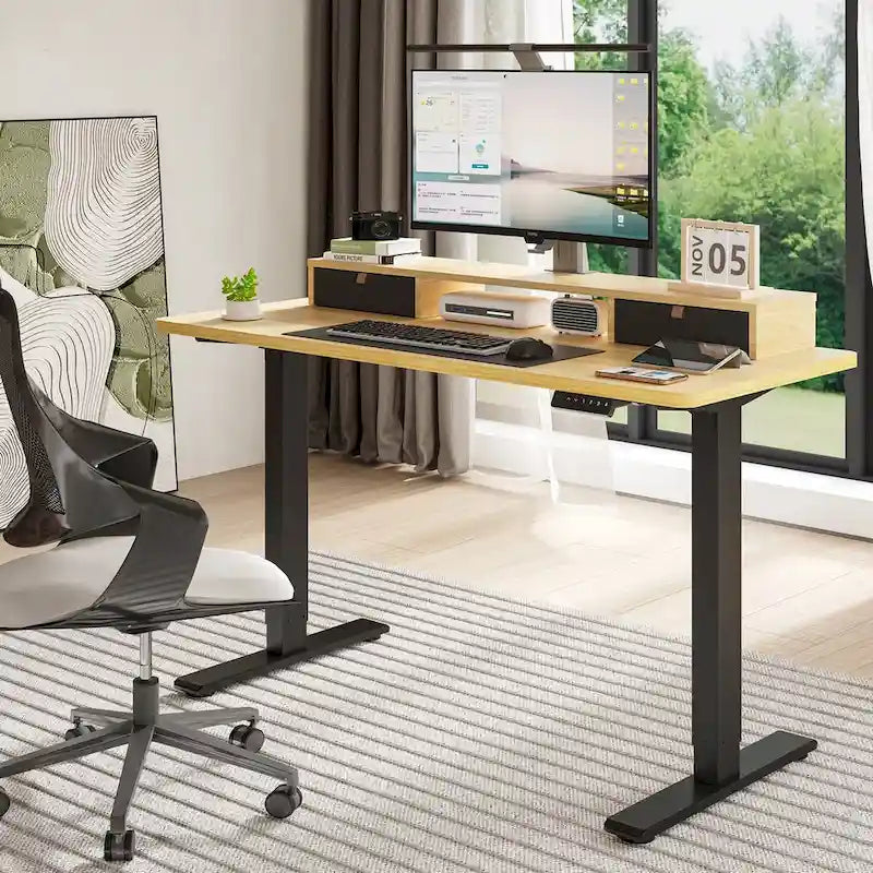 FlexiSpot 48x24/55x24 Ergonomic Height Adjustable Standing Desk with 2 Drawers, Monitor Stand Computer Desk