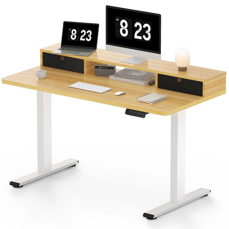 FlexiSpot 48x24/55x24 Ergonomic Height Adjustable Standing Desk with 2 Drawers, Monitor Stand Computer Desk