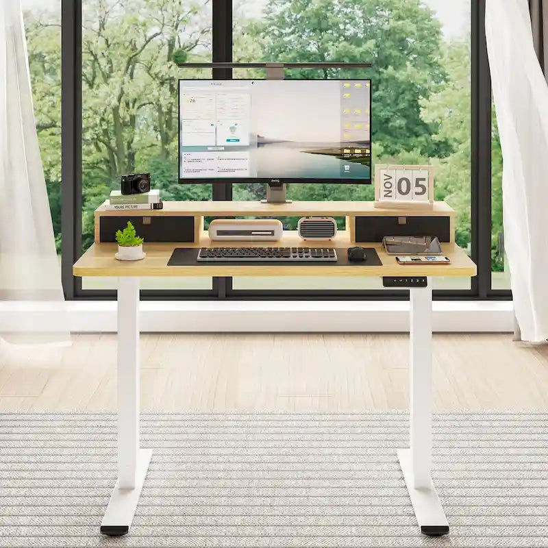 FlexiSpot 48x24/55x24 Ergonomic Height Adjustable Standing Desk with 2 Drawers, Monitor Stand Computer Desk
