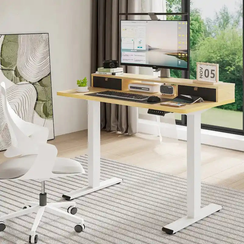FlexiSpot 48x24/55x24 Ergonomic Height Adjustable Standing Desk with 2 Drawers, Monitor Stand Computer Desk