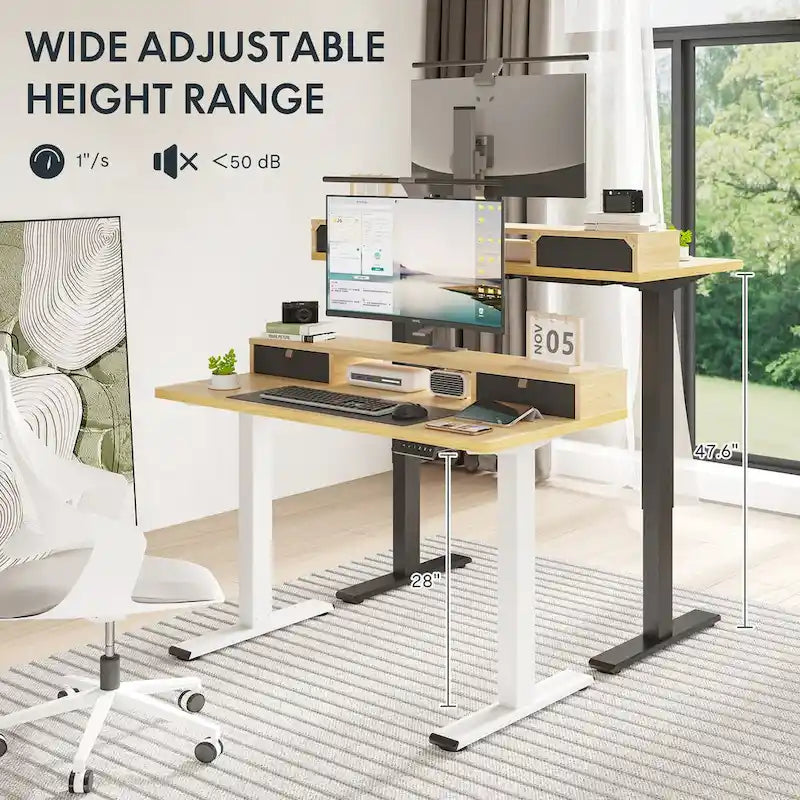 FlexiSpot 48x24/55x24 Ergonomic Height Adjustable Standing Desk with 2 Drawers, Monitor Stand Computer Desk