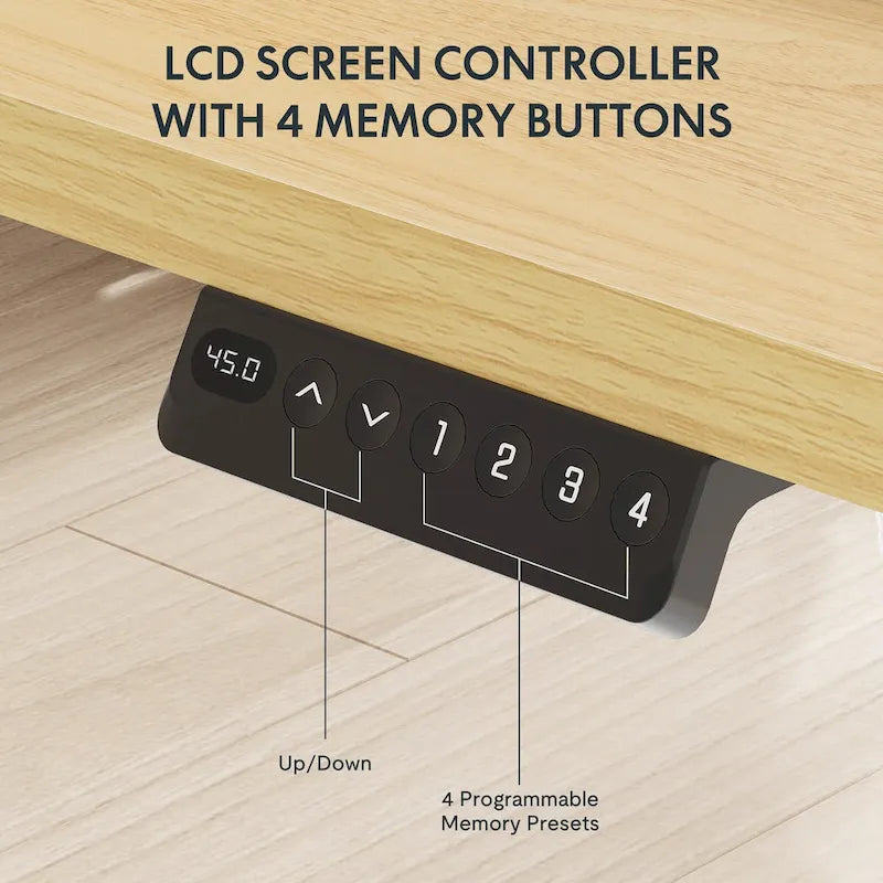 FlexiSpot 48x24/55x24 Ergonomic Height Adjustable Standing Desk with 2 Drawers, Monitor Stand Computer Desk