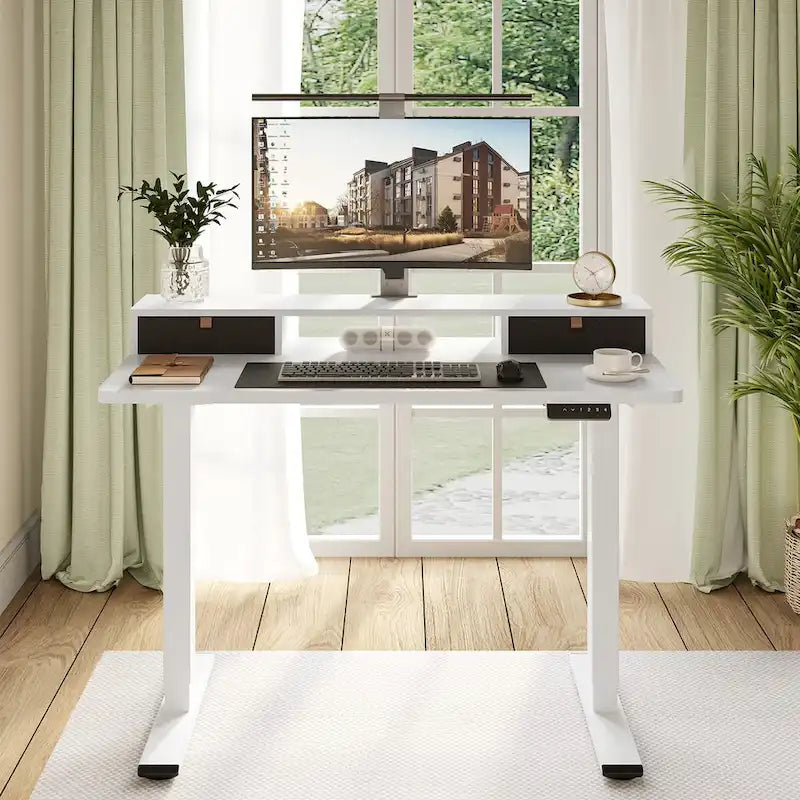 FlexiSpot 48x24/55x24 Ergonomic Height Adjustable Standing Desk with 2 Drawers, Monitor Stand Computer Desk