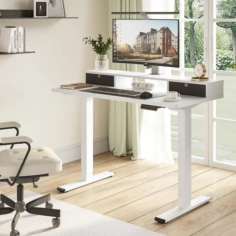 FlexiSpot 48x24/55x24 Ergonomic Height Adjustable Standing Desk with 2 Drawers, Monitor Stand Computer Desk
