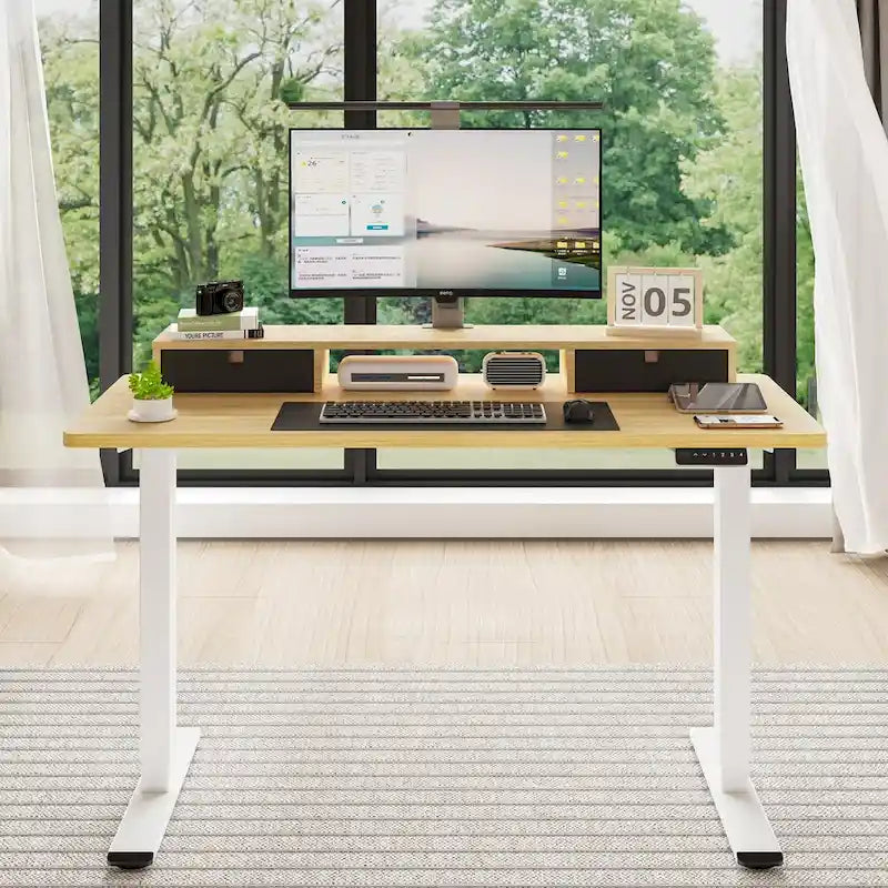 FlexiSpot 48x24/55x24 Ergonomic Height Adjustable Standing Desk with 2 Drawers, Monitor Stand Computer Desk