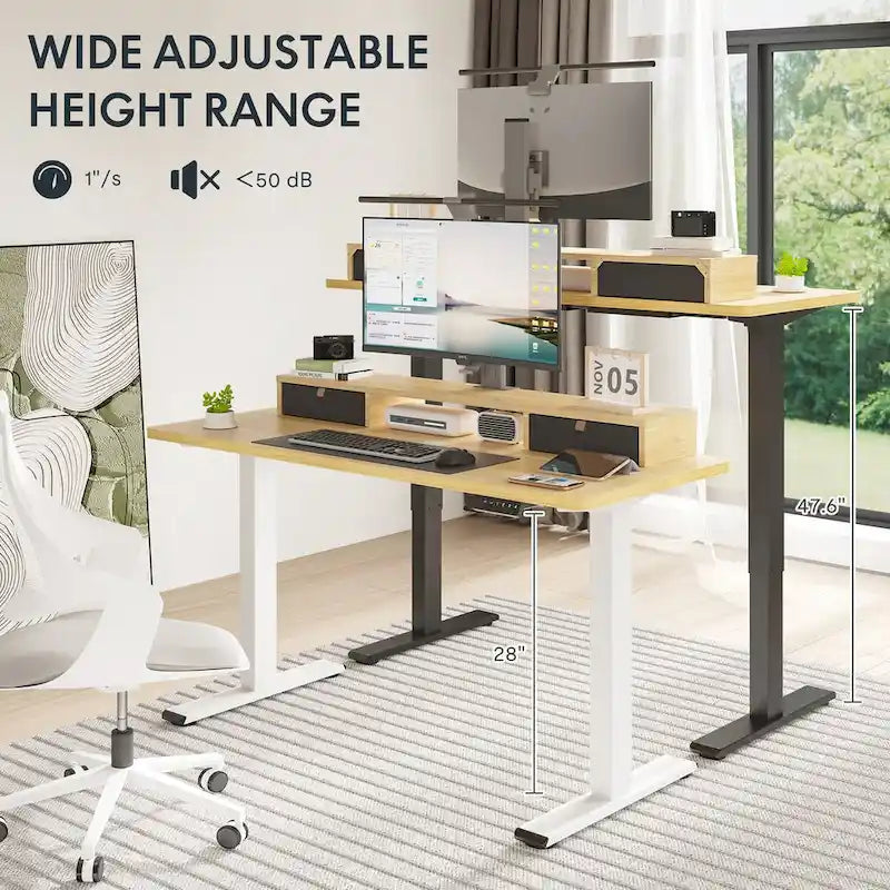 FlexiSpot 48x24/55x24 Ergonomic Height Adjustable Standing Desk with 2 Drawers, Monitor Stand Computer Desk