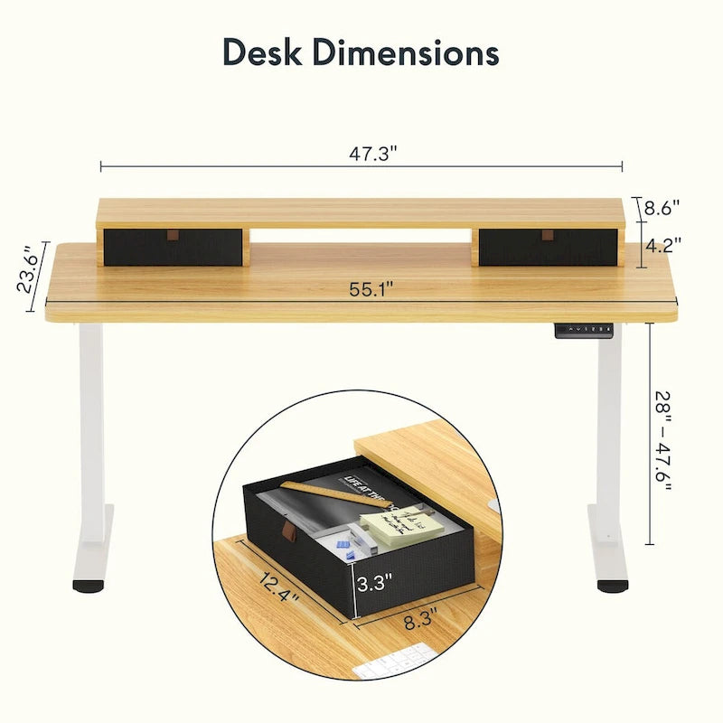 FlexiSpot 48x24/55x24 Ergonomic Height Adjustable Standing Desk with 2 Drawers, Monitor Stand Computer Desk