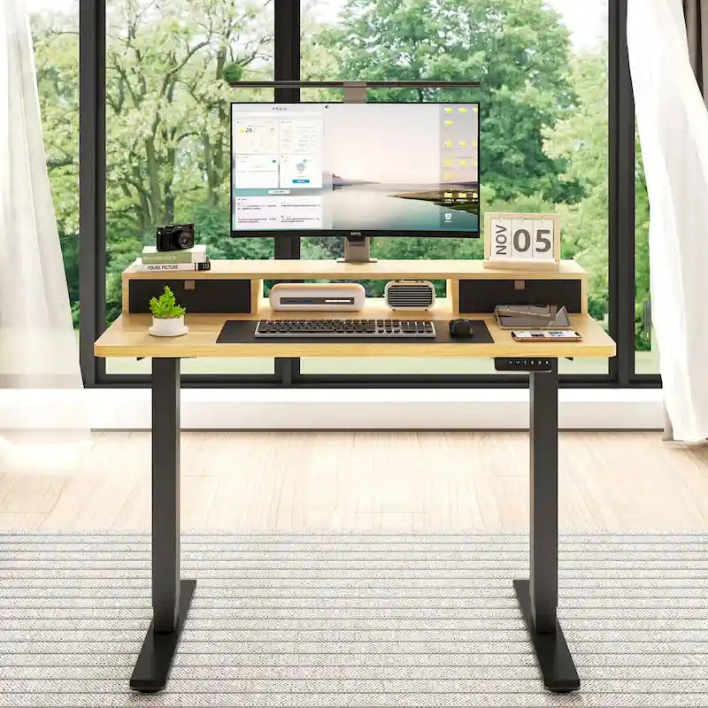 FlexiSpot 48x24/55x24 Ergonomic Height Adjustable Standing Desk with 2 Drawers, Monitor Stand Computer Desk