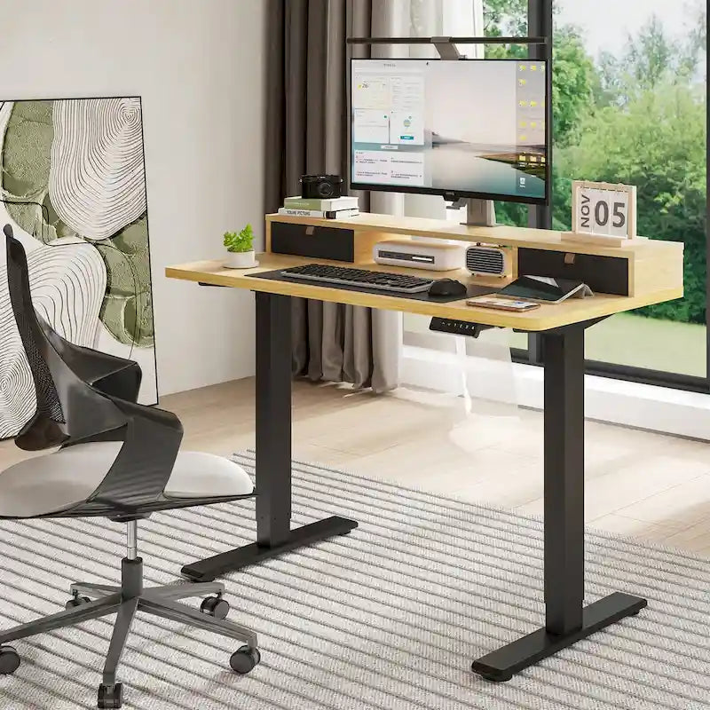 FlexiSpot 48x24/55x24 Ergonomic Height Adjustable Standing Desk with 2 Drawers, Monitor Stand Computer Desk